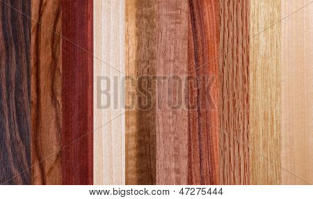 diferentes tipos de madera fondo