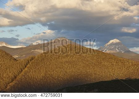 Forest Mountain Landscape In Winter. Castilla Leon. Spain