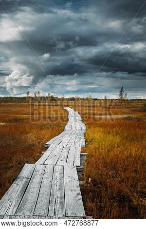 Miory District, Vitebsk Region, Belarus. Ecotrail In Yelnya Nature Reserve. Yelnya Reserve Or Elnya 