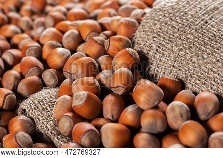 Hazelnuts, Filbert On Old Wooden Table. Heap Or Stack Of Hazel Nuts. Hazelnut Background, Healty Foo