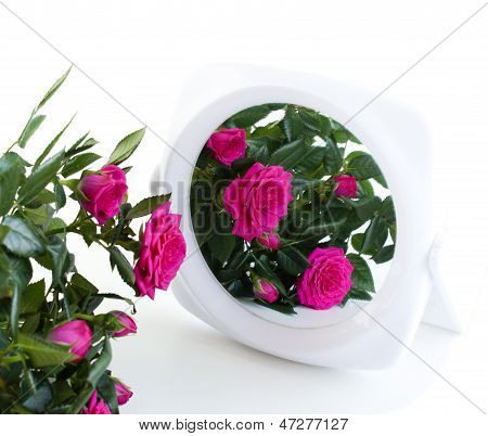 bouquet of roses and a mirror are on a white background