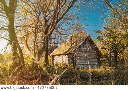 Old Wooden Bathhouse In Autumn Forest. Concept Of A Healthy Lifestyle. Relaxation And Rest. Traditio