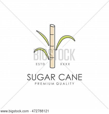 Natural Sweet Sugar Cane Plant Logo Template.