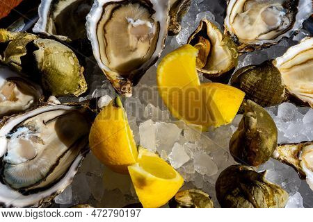 Fresh Oysters And Whelk Platter With Lemon On The Ice. High Quality Photo