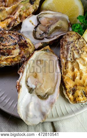 Eating Of Fresh Big Raw Zeeuwse Creuse Dutch Oysters From Zeeland, Netherlands