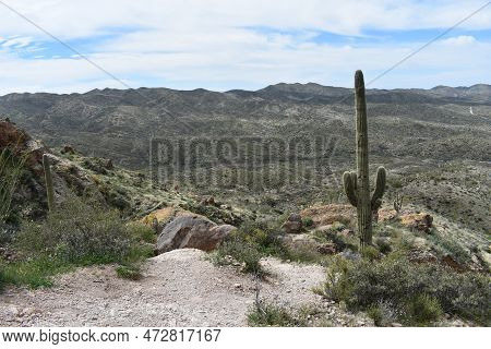 Spring In The Superstition Mountains, Hiking Up Picketpost Mountain
