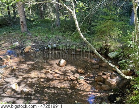 Arvadi Sulfur Spring Or Schwefelquelle Arvadi (die Eisen- Und Sulfid-reiche Arvadi-mineralwasser-que