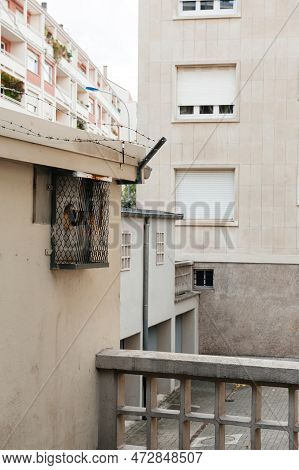 An Hlm Building In France, With A Balcony And Wall Covered By Barbed Wire. Windows Line The Facade O