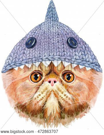 Cute Cat In A Shark Hat. Cat For T-shirt Graphics. Watercolor Exotic Shorthair Cat Breed Illustratio