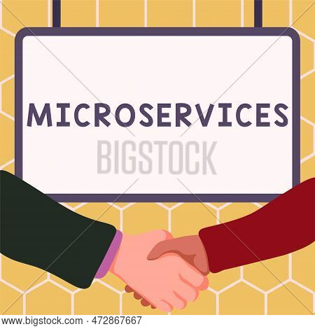 Conceptual Caption Microservices. Business Overview Software Development Technique Building Single F