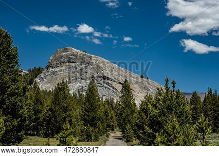 Looking Up At Lembert Dome From The Forest Below In Tuolumne Meadows