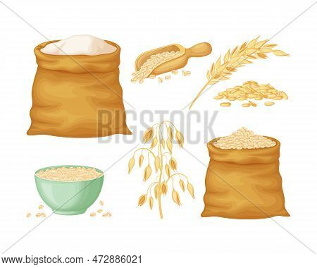Oats. A Collection With The Image Of An Ear Of Oats, Oats In A Bag, In A Wooden Scoop And Oatmeal In