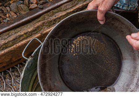 Fox, Alaska, Usa - July 26, 2011: Eldorado Gold Mine Museum And Park. Hand Shows Pan With Gold Dust 