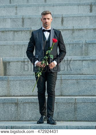 Valentine Day Concept. Full Length Of Man With Valentine Rose. Flower Gift For Valentine Day