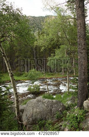 Lake Fork Creek In Beartooth Mountains, Montana