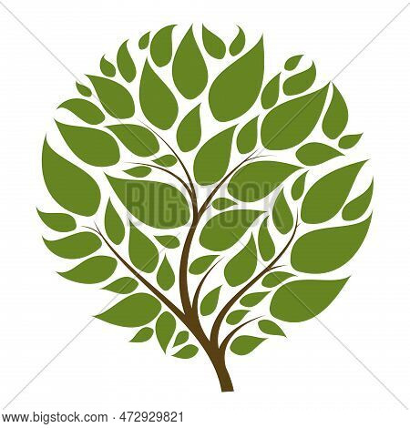Vector Tree With Round Krone For Your Logo Or Other Design