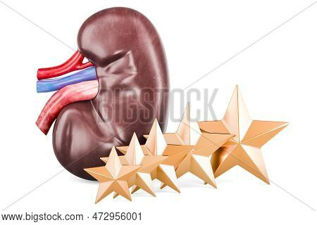 Human Kidney With Five Golden Stars. Customer Rating, 3d Rendering Isolated On White Background