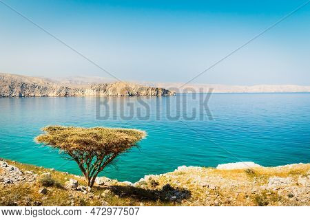 Beautiful Sunny Arid Oman Landscape In Persian Gulf Bay With Turquoise Sea Water, Merillas Islands B