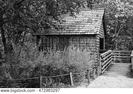 Old House In The Park Of Key Biscane Near Miami, Florida In The United States