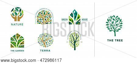 Tree Logo Collection. Luxury Logo Templates . Tree Of Life Branch With Leaves, Green House, Nature C