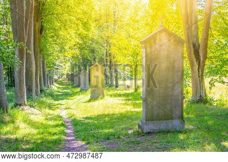 Way Of The Cross With Brick Chapels Leading Through An Avenue Of Deciduous Trees To The Top Of Calva