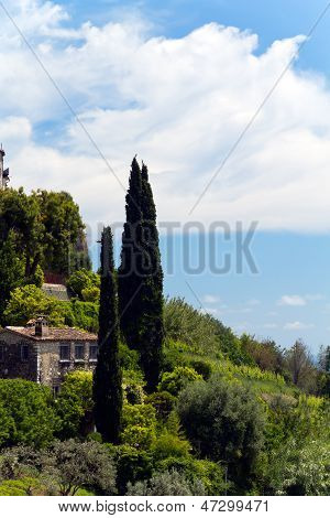 Cypress, St. Pul, Provence ile yalnız manzara