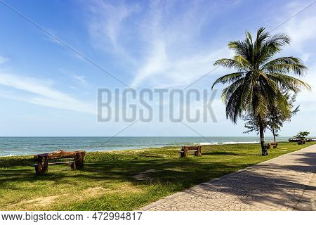 Coconut Tree On Samila Beach, South Of Thailand
