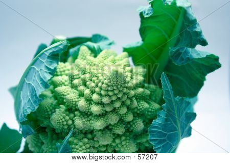 Romanesco Brokkoli