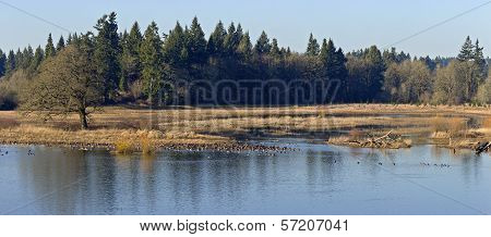Tualatin National Wildlife Refuge Oregon.