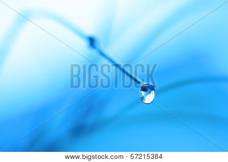 Macro H20