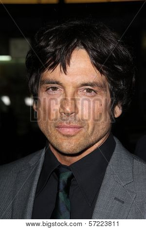 Jason Gedrick at the premiere of HBO's 