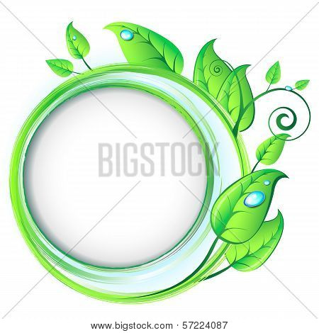 Concept Of Natural Design. Vector Frame With Brushstrokes, Bruch And Leafs.