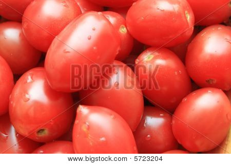 Tomaat