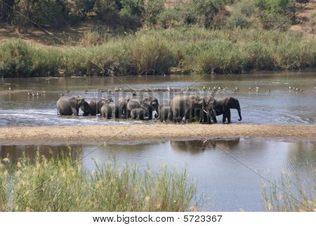 River Crossing
