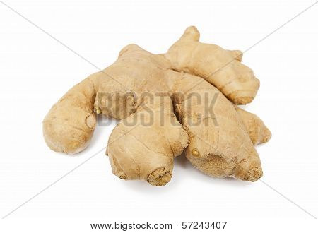 Ginger