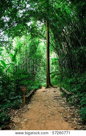 A Way