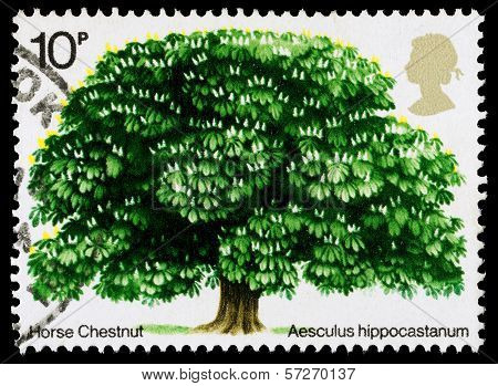 Britain Horse Chestnut Tree Postage Stamp