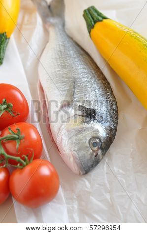 Gilthead seabream