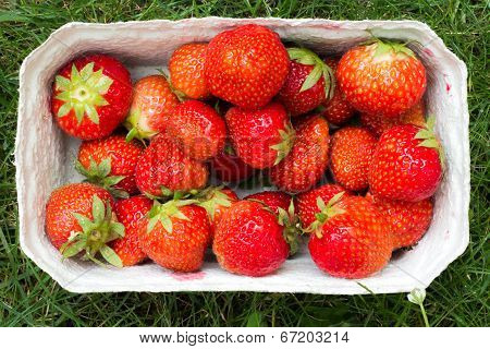 Strauwberries