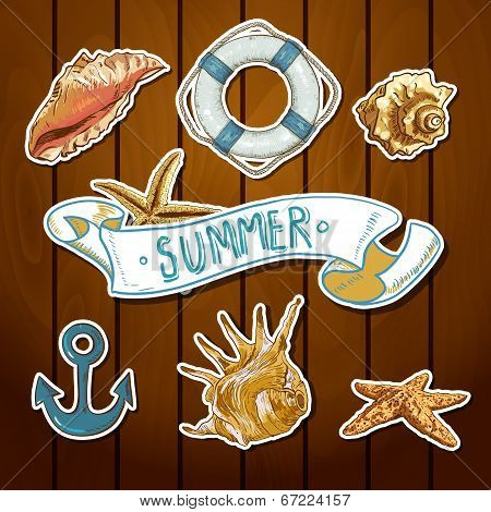 Summer Card with Sea Shells, Anchor, Lifeline