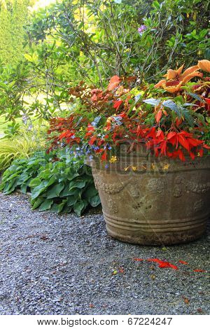 Beautiful shade planter filled with trailing begonias and lobelia. 