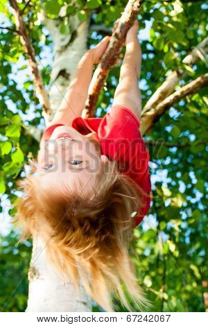 Little girl having fun playing on birch tree