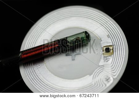 Rfid Chips And Tags
