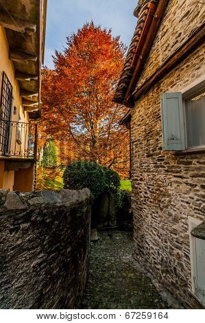 Autumn
