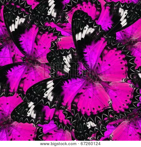 Beautifu Sweet Pink Butterflies In Full Framing Background Texture With Grace Mixture
