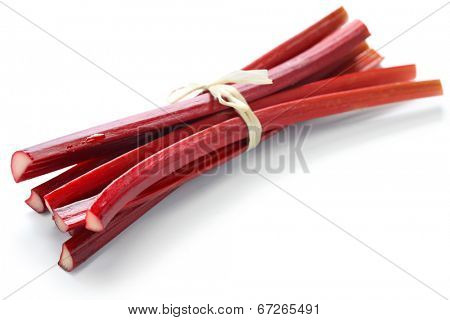 bundle of red rhubarb stalks on white background