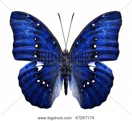 Close Up Of Beautiful Blue Butterfly In Fancy Color Isolated On White Background