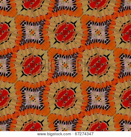 Nice Background Patterns Made Of Beautiful Leopard Lacewing Butterfly's Wing