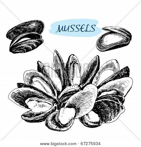 Mussels.