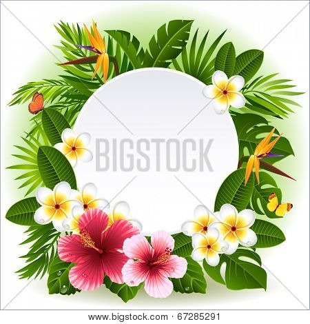 Vector illustration - tropical flowers and plants 